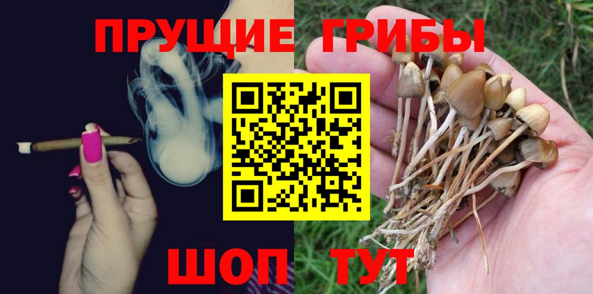 Галлюциногенные грибы Magic Shrooms Елизово