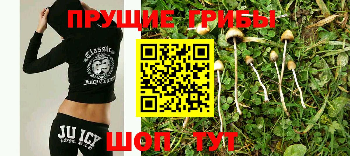 Елизово  цены   Галлюциногенные грибы Magic Shrooms  Вход с VPN  Галлюциногенные грибы мицелий 