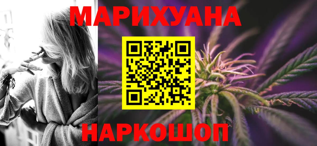 Бошки Шишки план Елизово